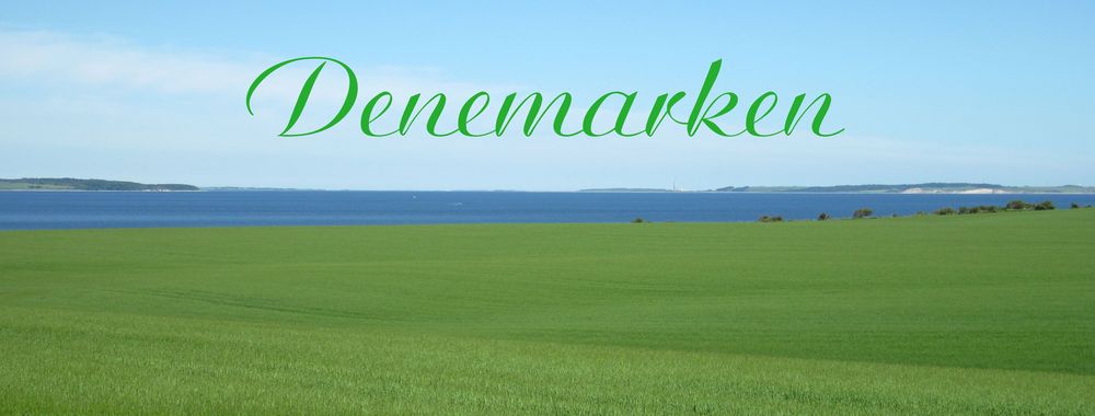 Renske Cramer Creatief header voor de reisreportage denemarken mooie foto van groen landschap met blauwe zee