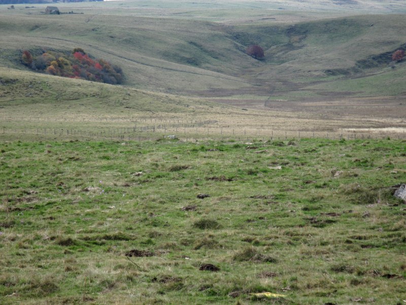 Renske Cramers foto van een landschap in de Aubrac (Frankrijk).