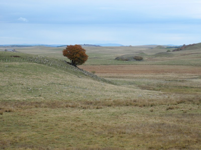 Renske Cramers foto van een landschap in de Aubrac (Frankrijk).