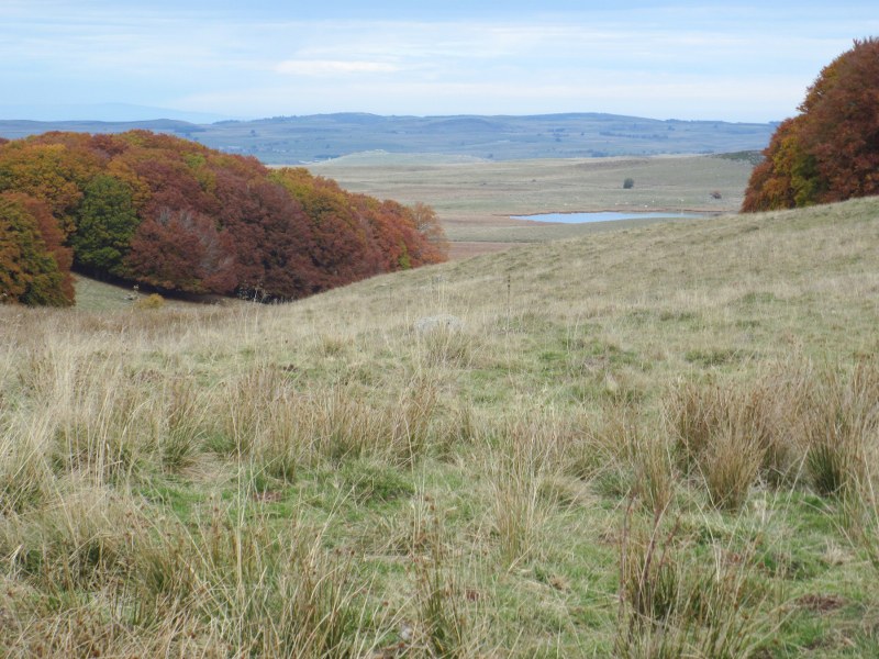 Renske Cramers foto van een landschap in de Aubrac (Frankrijk).