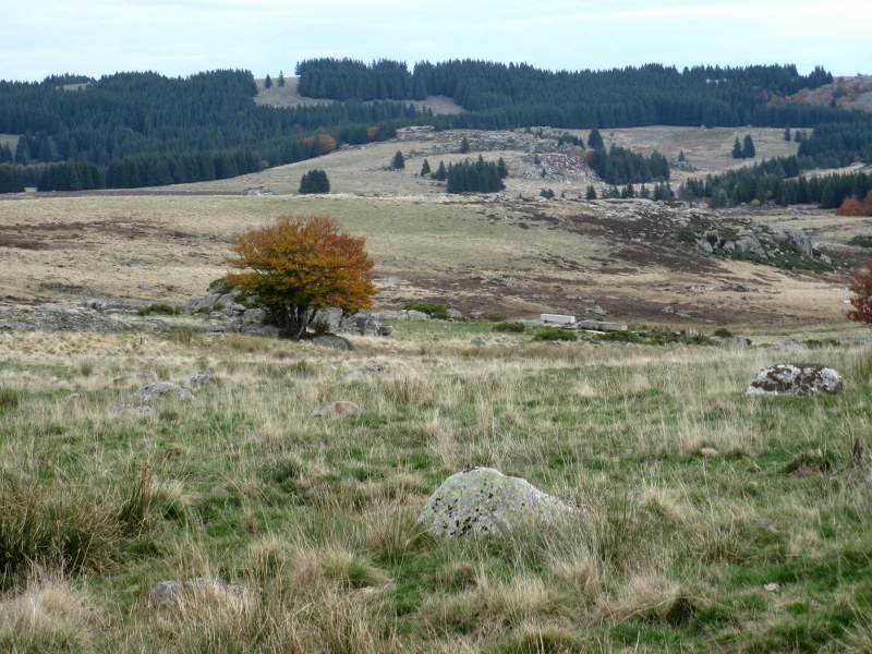 Renske Cramers foto van een landschap in de Aubrac (Frankrijk).