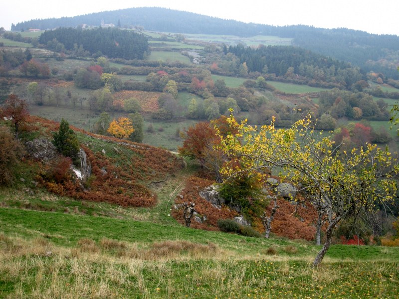 Renske Cramers foto van een landschap in de Aveyron (Frankrijk).