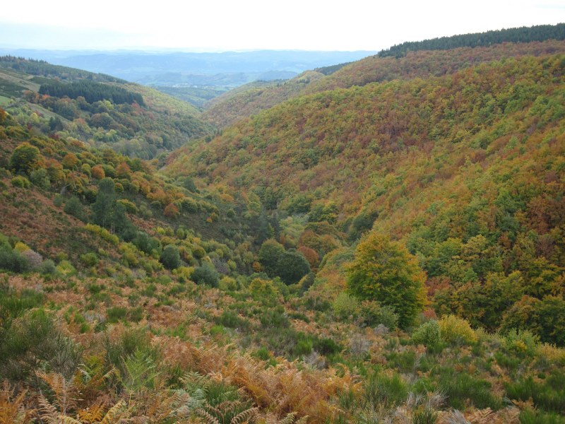 Renske Cramers foto van een landschap in de Aveyron (Frankrijk).