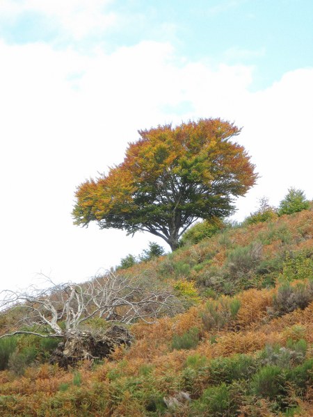 Renske Cramers foto van een landschap in de Aveyron (Frankrijk).