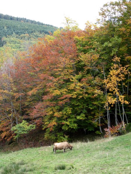 Renske Cramers foto van een landschap in de Aveyron (Frankrijk).