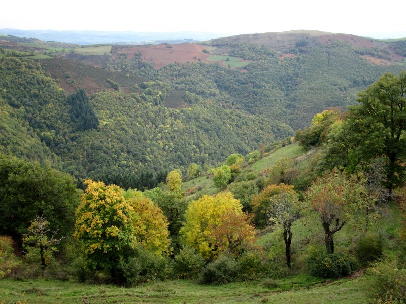 Renske Cramers foto van een landschap in de Aveyron (Frankrijk).