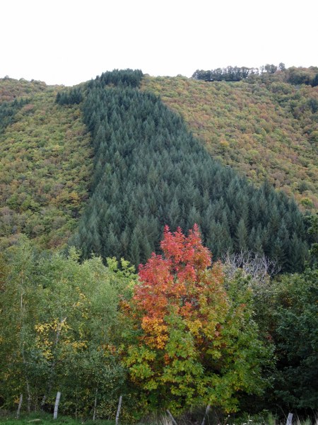 Renske Cramers foto van een landschap in de Aveyron (Frankrijk).