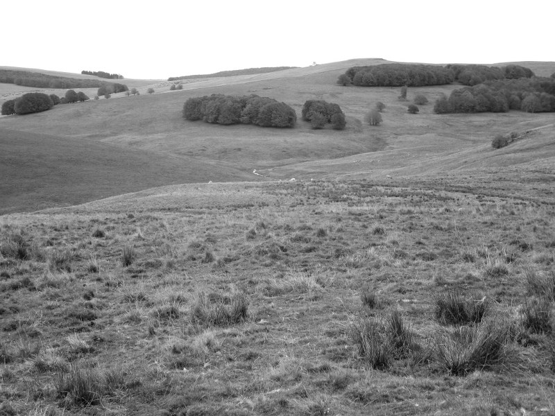 Renske Cramers foto van een landschap in de Aubrac (Frankrijk).