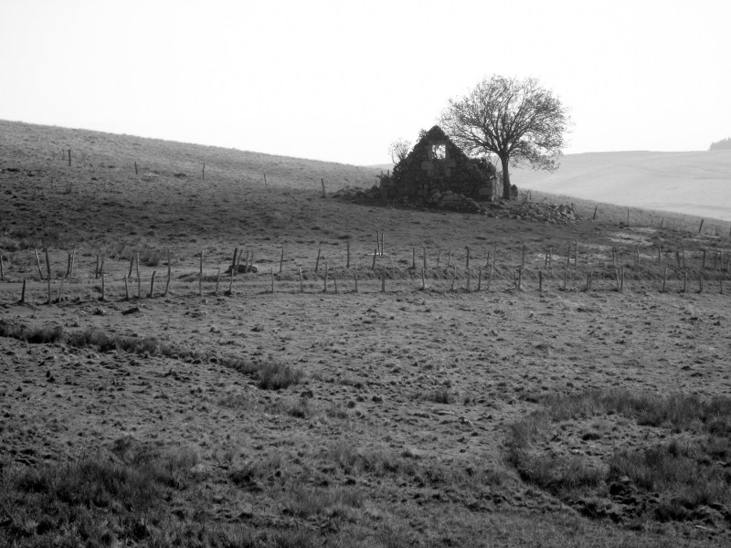 Renske Cramers foto van een landschap in de Aubrac (Frankrijk).