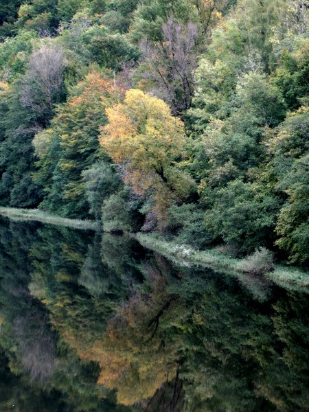 Renske Cramers foto van een landschap in de Limousin (Frankrijk).