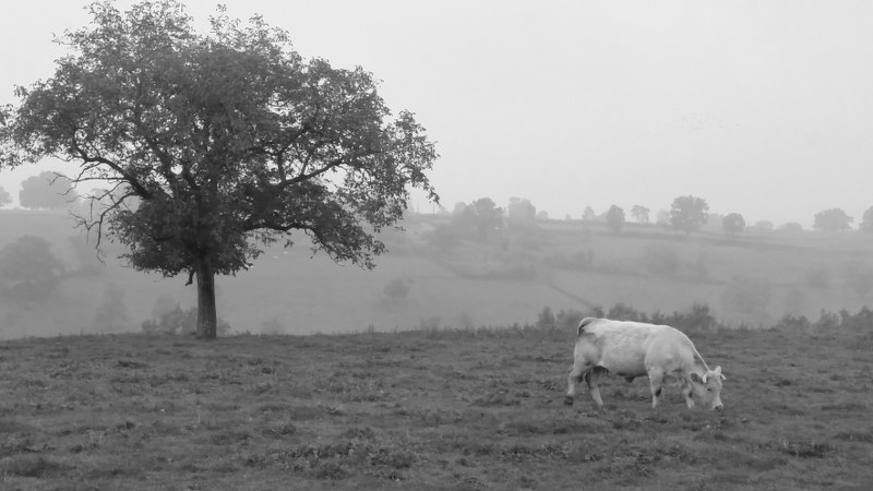 Renske Cramers foto van een landschap in de Limousin (Frankrijk).