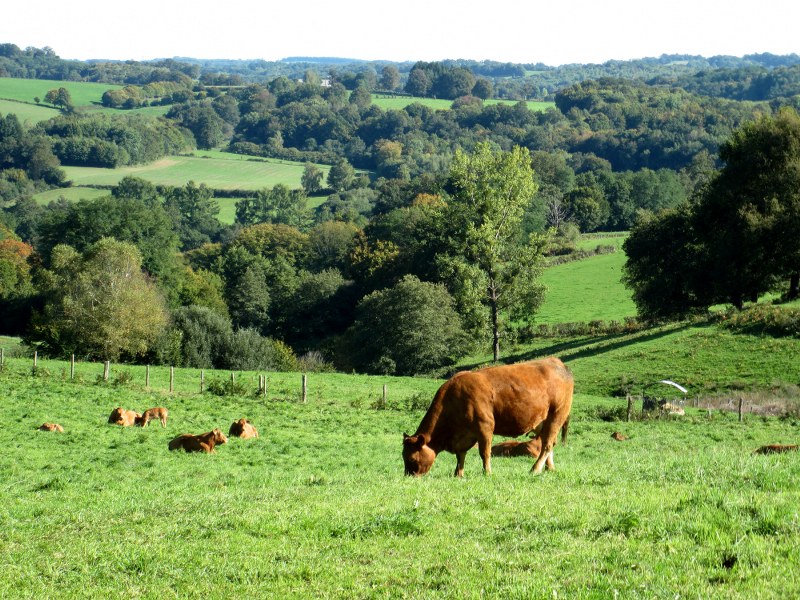 Renske Cramers foto van een landschap in de Limousin (Frankrijk).