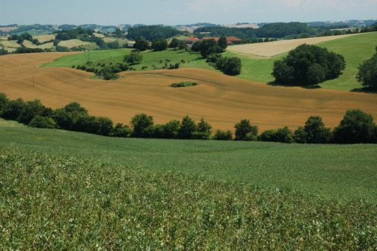 Een foto van het landschap van de Gascogne, Frankrijk.