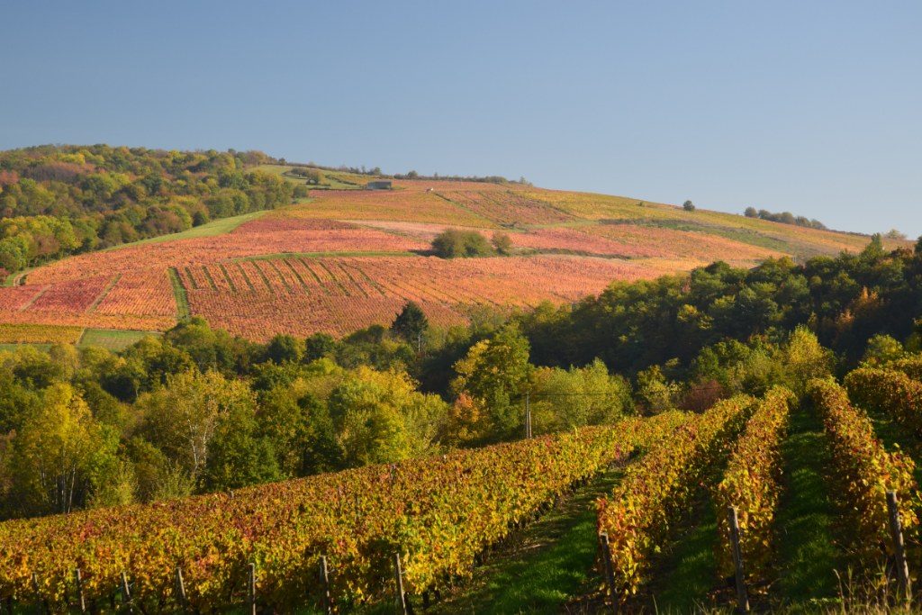 Renske Cramer Creatief foto van landschap in de Beaujolais, Frankrijk