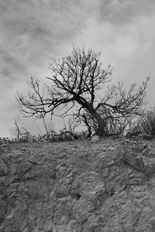 Renske Cramer Creatief foto van landschap in de Pyrénées Orientales, Frankrijk