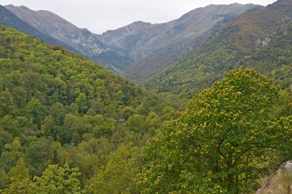 Renske Cramer Creatief foto van landschap in de Pyrénées Orientales, Frankrijk