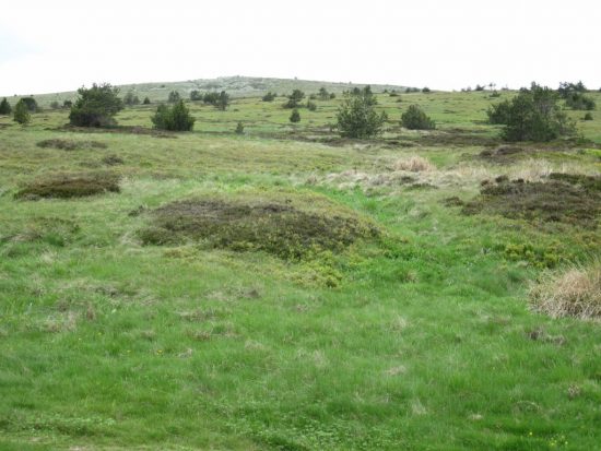 Foto van de Mont Lozère in de Margeride (Frankrijk)