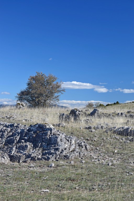 Renske Cramer Creatief foto van landschap in de Cévennes, Frankrijk