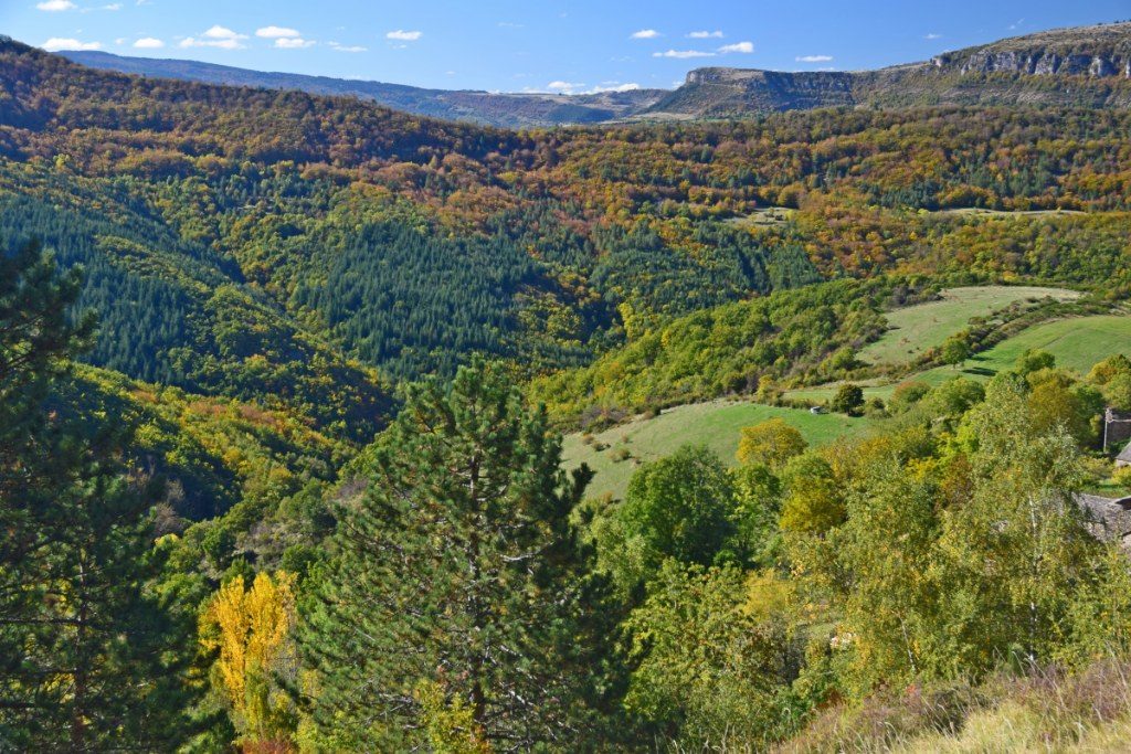 Renske Cramer Creatief foto van landschap in de Cévennes, Frankrijk