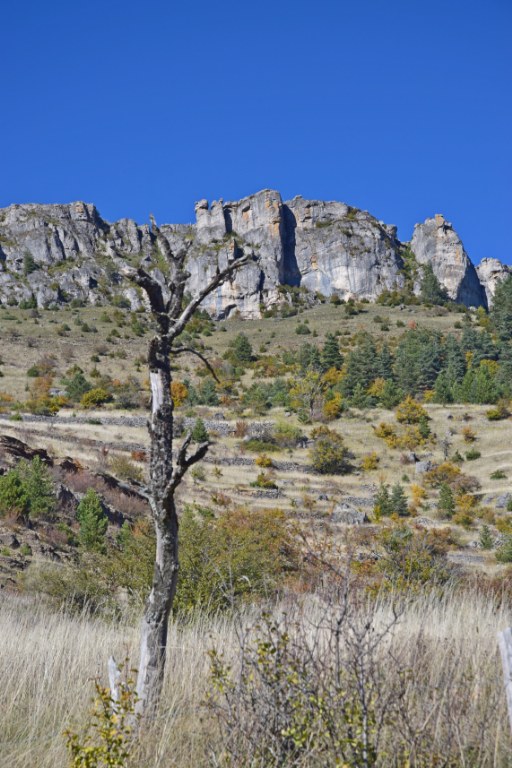 Renske Cramer Creatief foto van landschap in de Cévennes, Frankrijk