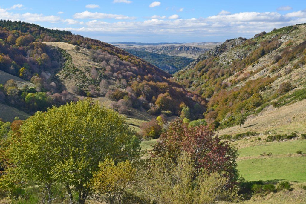 Renske Cramer Creatief foto van landschap in de Cévennes, Frankrijk