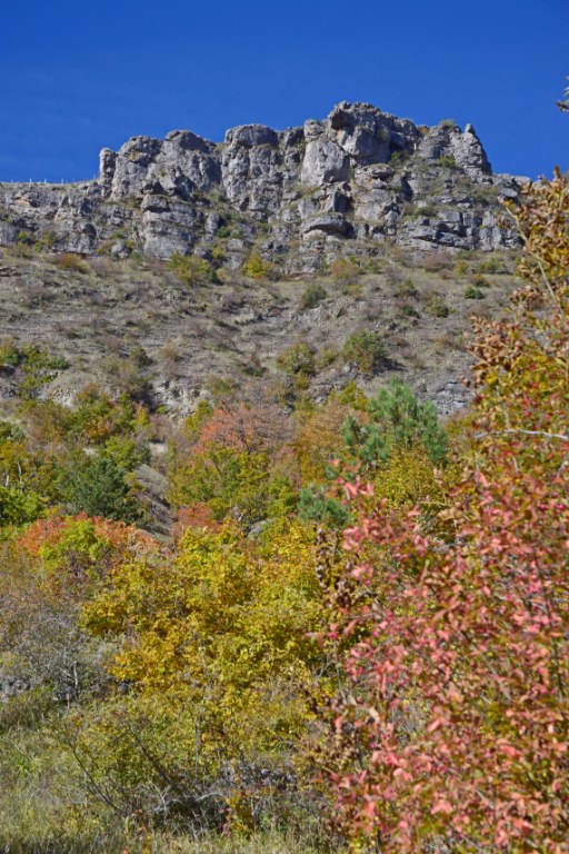 Renske Cramer Creatief foto van landschap in de Cévennes, Frankrijk