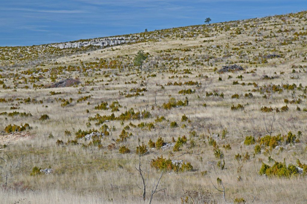 Renske Cramer Creatief foto van landschap in de Cévennes, Frankrijk