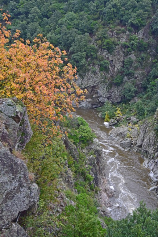 Renske Cramer Creatief foto van landschap in de Cévennes, Frankrijk