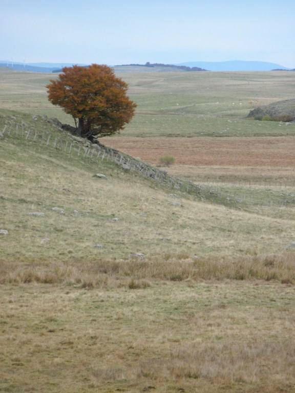 Renske Cramer Creatief: sectie foto’s van landschappen foto van een landschap