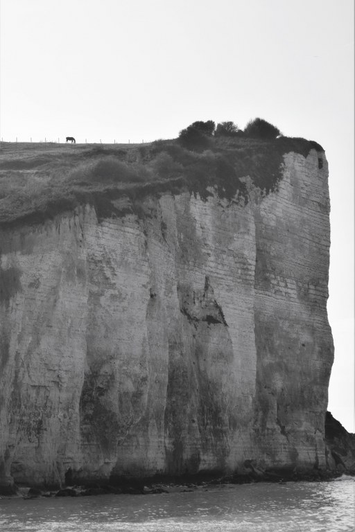 Renske Cramer Creatief foto van een klip met een paard aan de kust van de Normandie (Frankrijk)