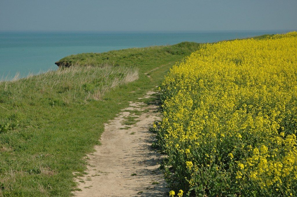 Renske Cramer Creatief foto van de kust van de Normandie (Frankrijk)