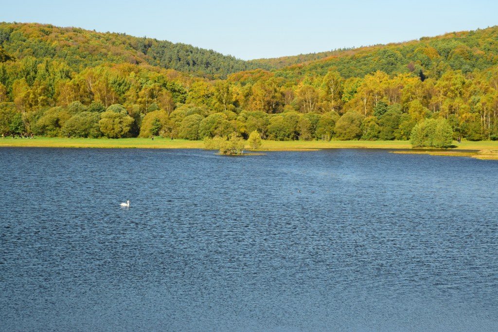 Renske Cramer Creatief foto van een herfstig landschap met een meer in de Limousin (Frankrijk)