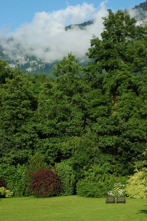 Renske Cramer Creatief artikel over chambres d’hôtes foto van een mooie tuin