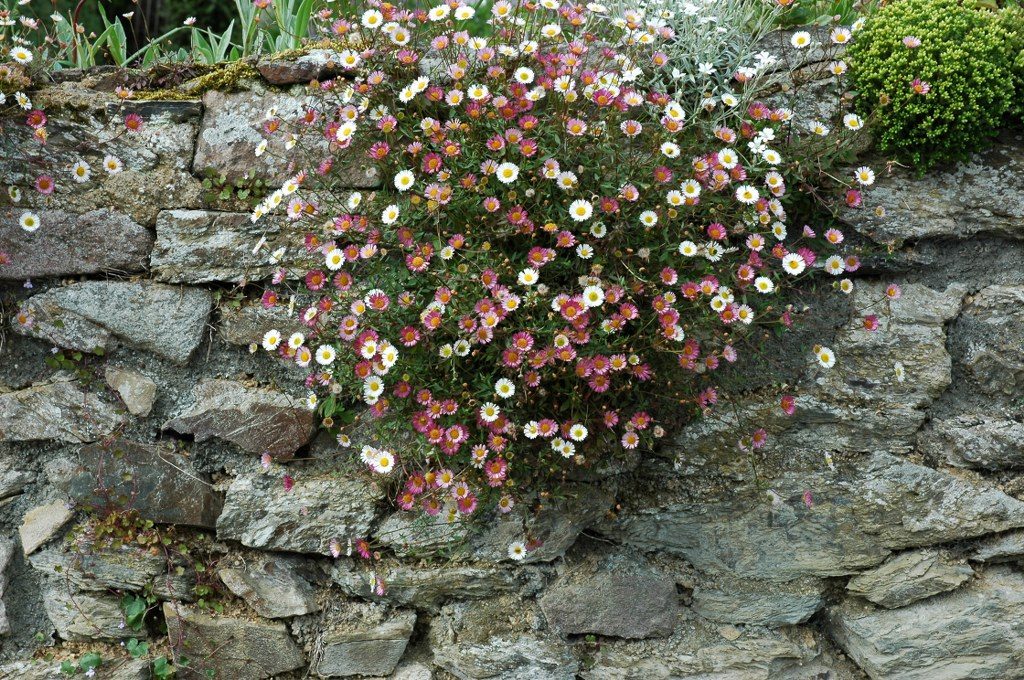 Renske Cramer Creatief reizen Frankrijk Bretagne foto van een oude muur in het binnenland