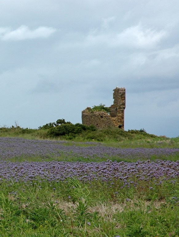 Renske Cramer Creatief reizen Frankrijk Bretagne foto van een oude toren in het binnenland