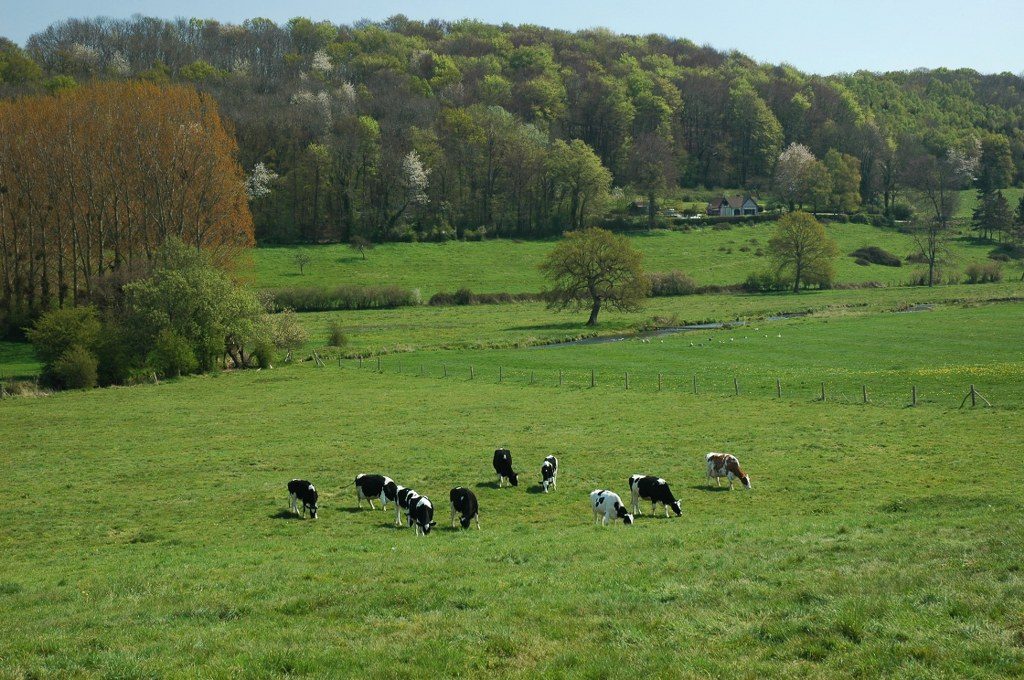 Renske Cramer Creatief foto van het binnenland in de Haute-Normandie (Frankrijk)