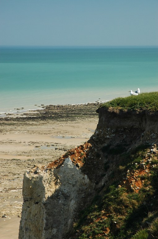 Renske Cramer Creatief foto van de falaisekust van de Haute-Normandie (Frankrijk)